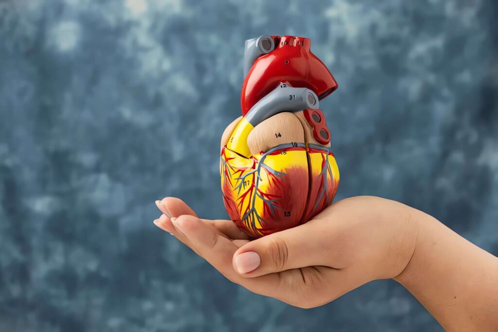 Coronary Artery Diseases Treatment, Livingston, TX 2 Coronary Artery Disease Treatment in Livingston, TX