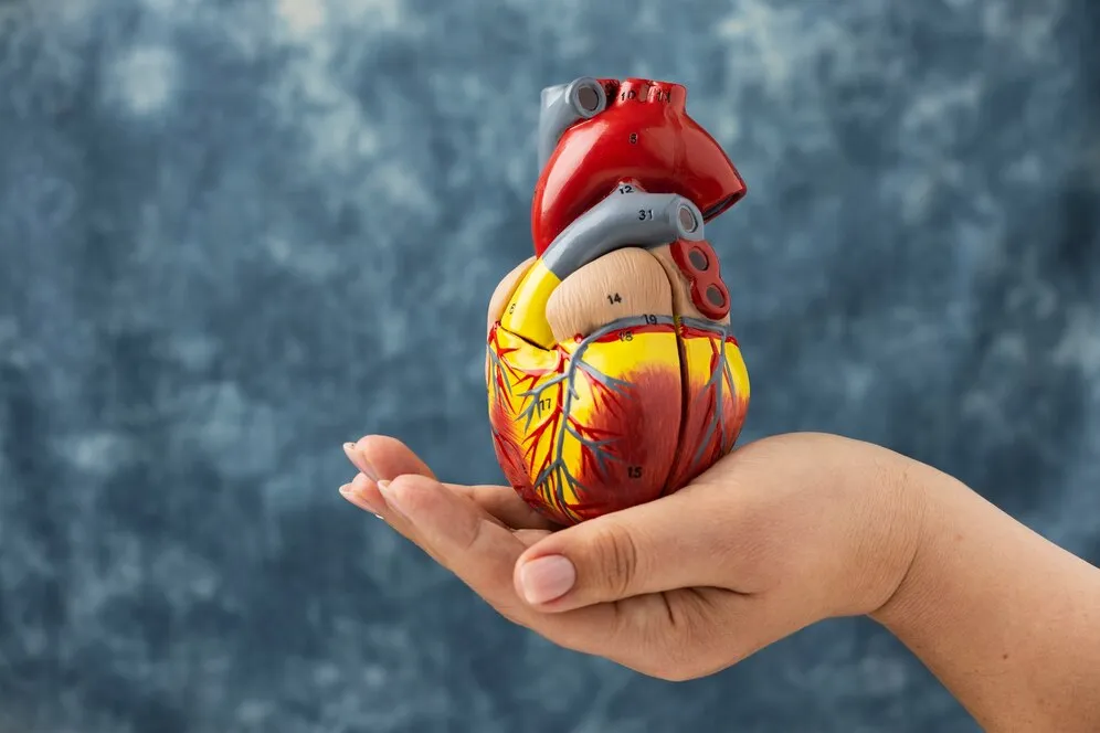 Coronary Artery Disease 2 Coronary Artery Disease