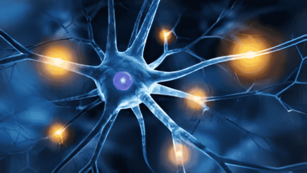 Neuropathic Pain Specialists in Livingston, TX 6 Neuropathic Pain Treatment in Livingston, TX