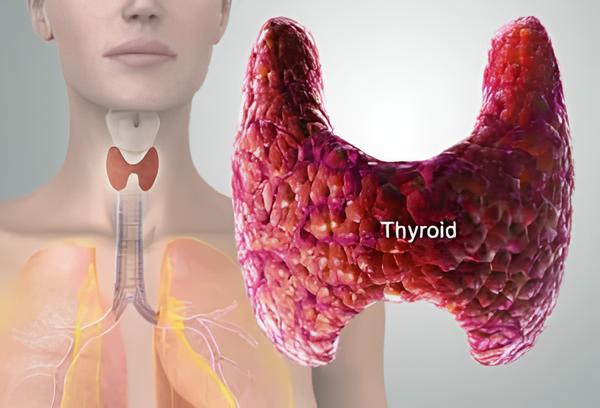 Thyroid Disease Treatment in Livingston, TX